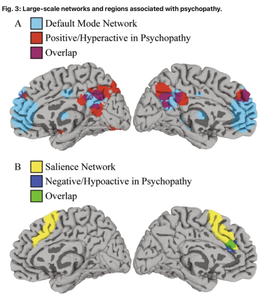  Large-scale networks and regions associated with psychopathy in the brain